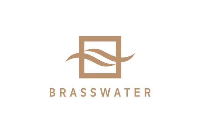 Brasswater – Force établie dans le marché de l’immobilier